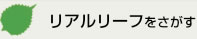 リアルリーフをさがす